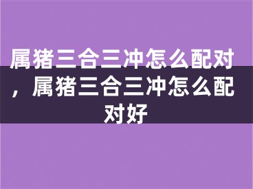 属猪三合三冲怎么配对，属猪三合三冲怎么配对好