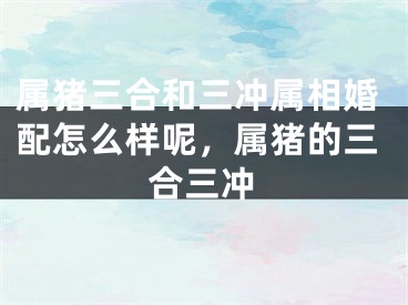 属猪三合和三冲属相婚配怎么样呢，属猪的三合三冲