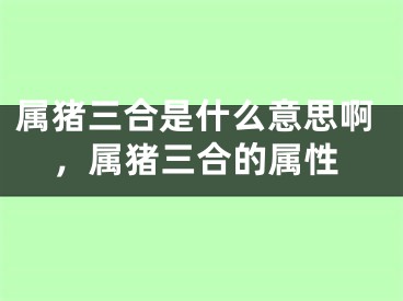 属猪三合是什么意思啊，属猪三合的属性