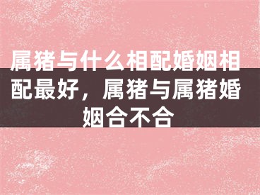 属猪与什么相配婚姻相配最好，属猪与属猪婚姻合不合