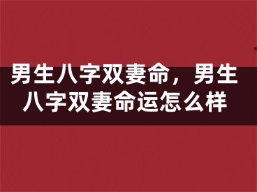 男生八字双妻命，男生八字双妻命运怎么样