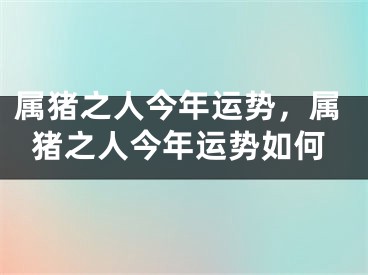 属猪之人今年运势，属猪之人今年运势如何