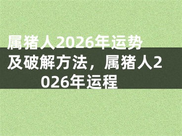 属猪人2026年运势及破解方法,属猪人2026年运程