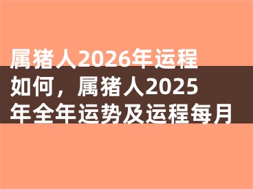 属猪人2026年运程如何，属猪人2025年全年运势及运程每月