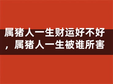 属猪人一生财运好不好,属猪人一生被谁所害
