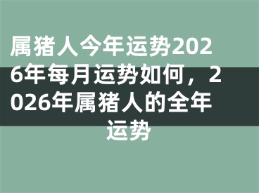 属猪人今年运势2026年每月运势如何，2026年属猪人的全年运势