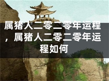 属猪人二零二零年运程，属猪人二零二零年运程如何