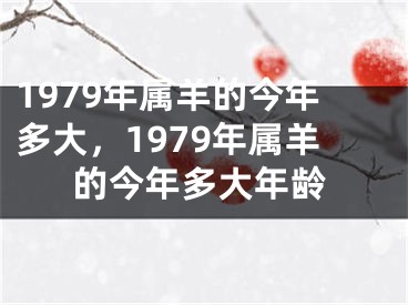 1979年属羊的今年多大，1979年属羊的今年多大年龄