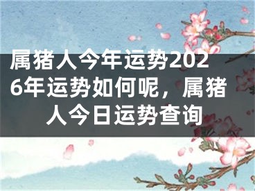 属猪人今年运势2026年运势如何呢，属猪人今日运势查询
