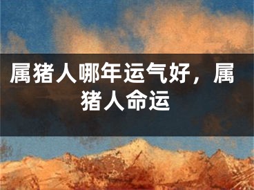 属猪人哪年运气好，属猪人命运