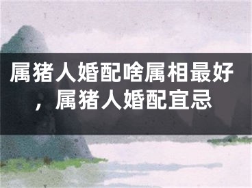 属猪人婚配啥属相最好,属猪人婚配宜忌