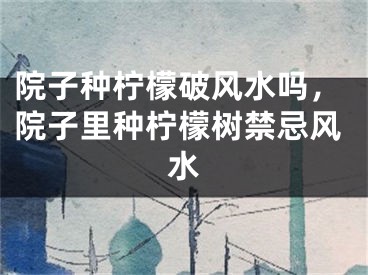 院子种柠檬破风水吗，院子里种柠檬树禁忌风水