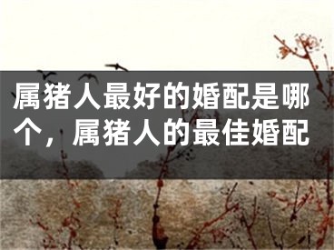 属猪人最好的婚配是哪个，属猪人的最佳婚配