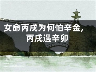 女命丙戌为何怕辛金,丙戌遇辛卯
