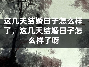 这几天结婚日子怎么样了，这几天结婚日子怎么样了呀
