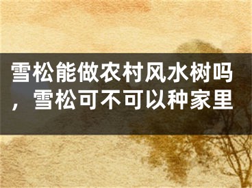 雪松能做农村风水树吗，雪松可不可以种家里