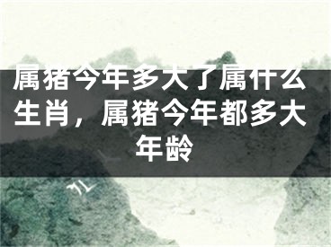 属猪今年多大了属什么生肖，属猪今年都多大年龄