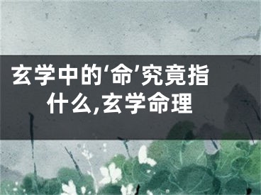 玄学中的‘命’究竟指什么,玄学命理