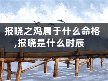 报晓之鸡属于什么命格,报晓是什么时辰
