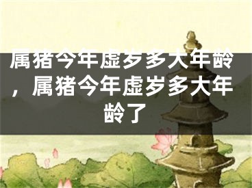 属猪今年虚岁多大年龄，属猪今年虚岁多大年龄了