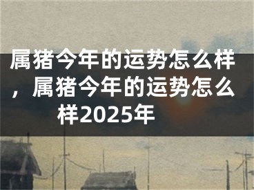 属猪今年的运势怎么样，属猪今年的运势怎么样2025年