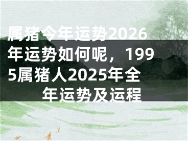 属猪今年运势2026年运势如何呢，1995属猪人2025年全年运势及运程