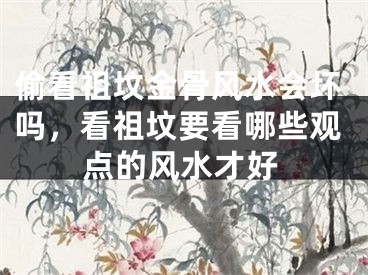 偷看祖坟金骨风水会坏吗，看祖坟要看哪些观点的风水才好