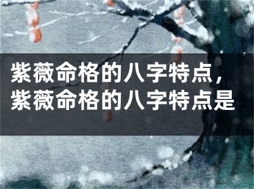 紫薇命格的八字特点，紫薇命格的八字特点是