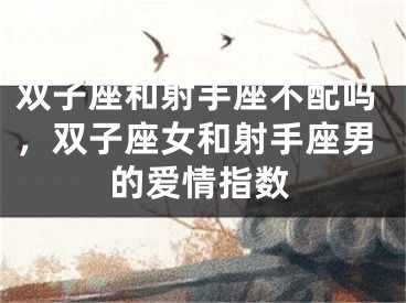 双子座和射手座不配吗，双子座女和射手座男的爱情指数