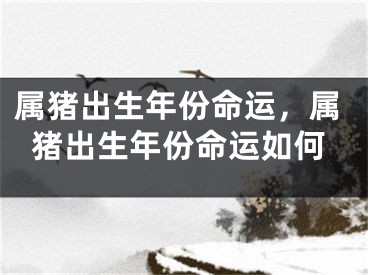 属猪出生年份命运，属猪出生年份命运如何