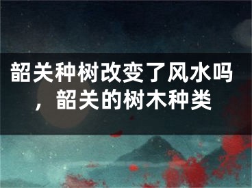 韶关种树改变了风水吗，韶关的树木种类
