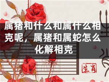 属猪和什么和属什么相克呢，属猪和属蛇怎么化解相克