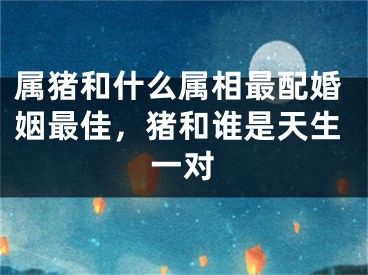 属猪和什么属相最配婚姻最佳,猪和谁是天生一对
