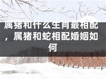 属猪和什么生肖最相配，属猪和蛇相配婚姻如何