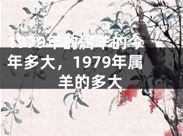 1979年的属羊的今年多大，1979年属羊的多大