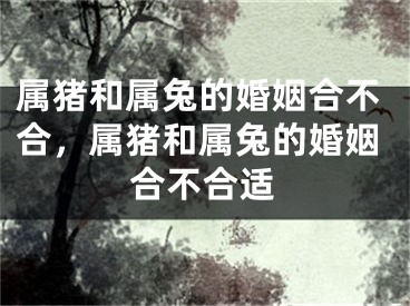 属猪和属兔的婚姻合不合，属猪和属兔的婚姻合不合适