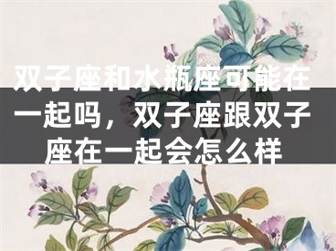 双子座和水瓶座可能在一起吗，双子座跟双子座在一起会怎么样