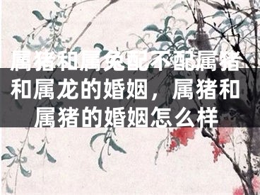 属猪和属兔配不配属猪和属龙的婚姻，属猪和属猪的婚姻怎么样