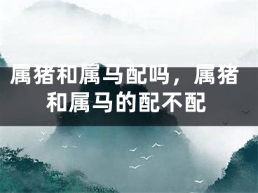 属猪和属马配吗，属猪和属马的配不配