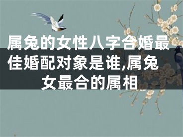 属兔的女性八字合婚最佳婚配对象是谁,属兔女最合的属相