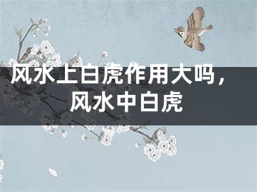 风水上白虎作用大吗，风水中白虎