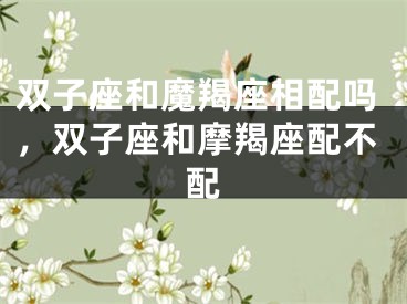 双子座和魔羯座相配吗，双子座和摩羯座配不配