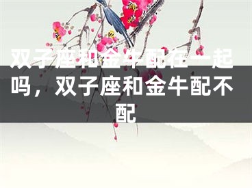 双子座和金牛配在一起吗，双子座和金牛配不配