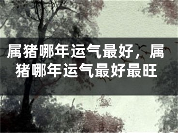 属猪哪年运气最好，属猪哪年运气最好最旺