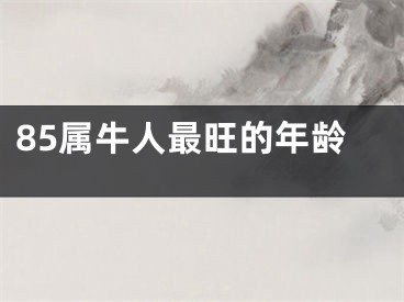 85属牛人最旺的年龄