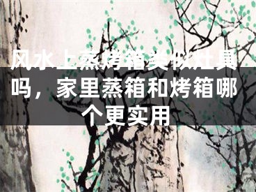 风水上蒸烤箱类似灶具吗,家里蒸箱和烤箱哪个更实用