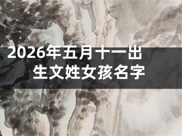 2026年五月十一出生文姓女孩名字