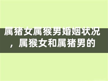 属猪女属猴男婚姻状况，属猴女和属猪男的