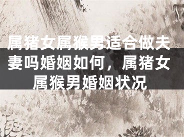 属猪女属猴男适合做夫妻吗婚姻如何，属猪女属猴男婚姻状况