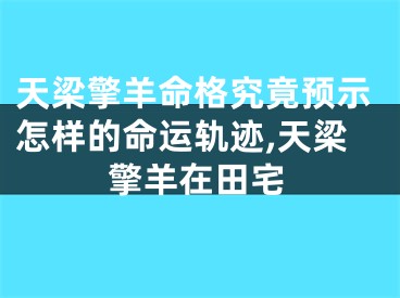 天梁擎羊命格究竟预示怎样的命运轨迹,天梁擎羊在田宅